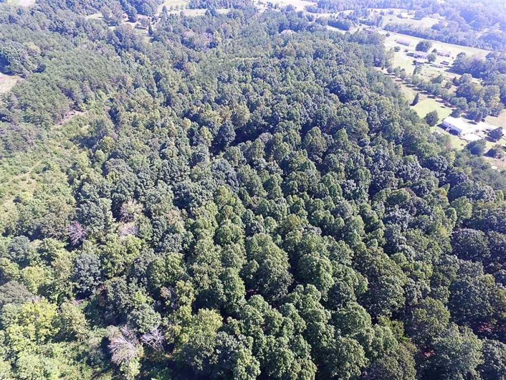 Recreational and   property for sale on The Land Market