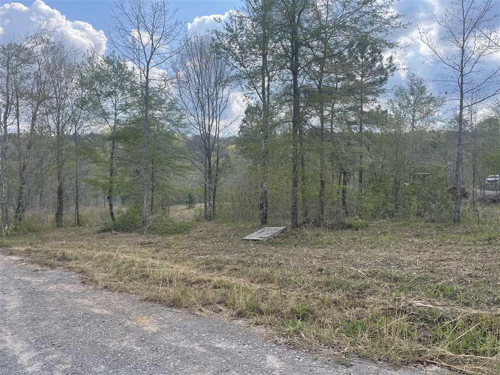 3.15 Acres of Residential land for sale in Double Springs, winston County, Alabama