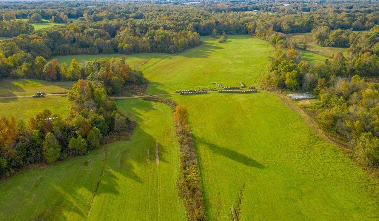 Farmland real estate available to buy
