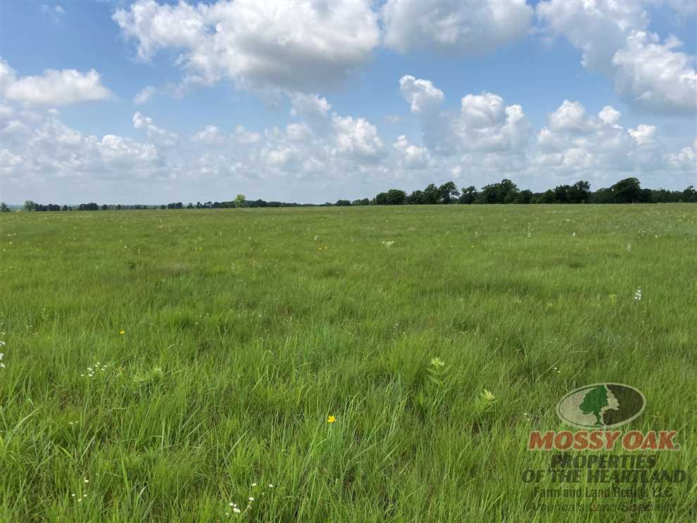 +/- 60 Acres with Spring-Fed Pond Available in Elk County, Ks Real estate listing