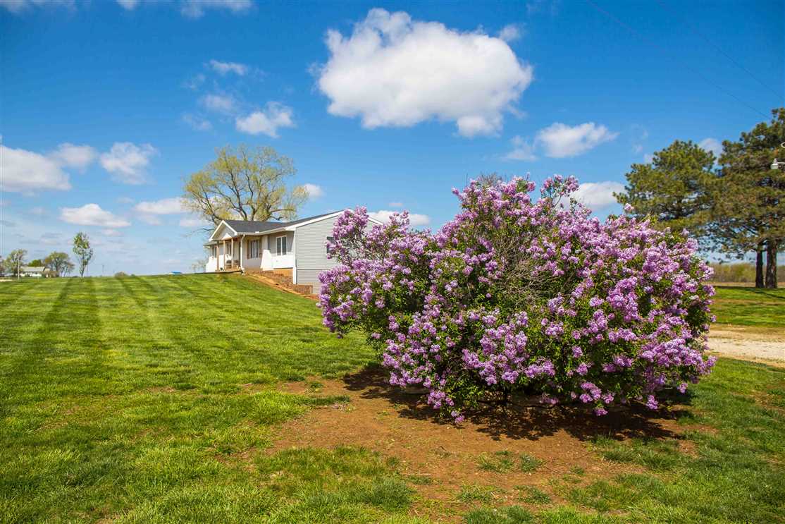 Farmland real estate available to buy