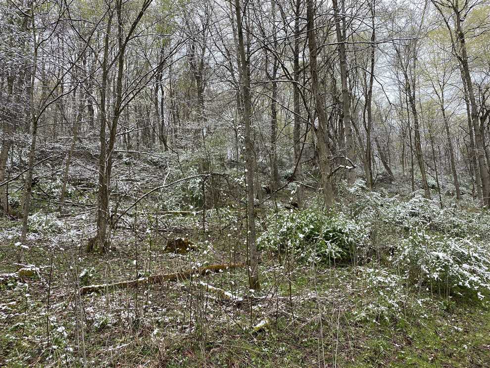 34 Acres of Residential land for sale in McDonald, allegheny County, Pennsylvania