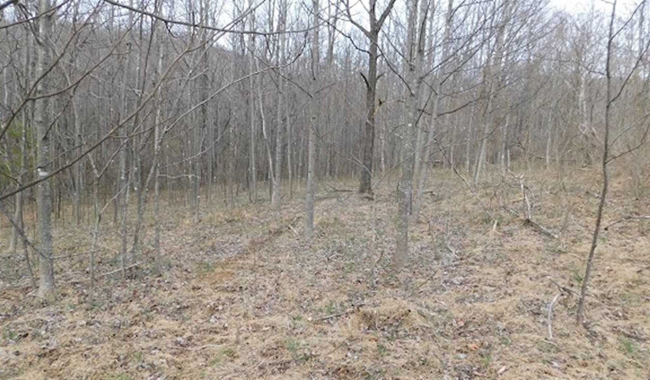 15.41 Acres of Residential land for sale in Ararat, patrick County, Virginia