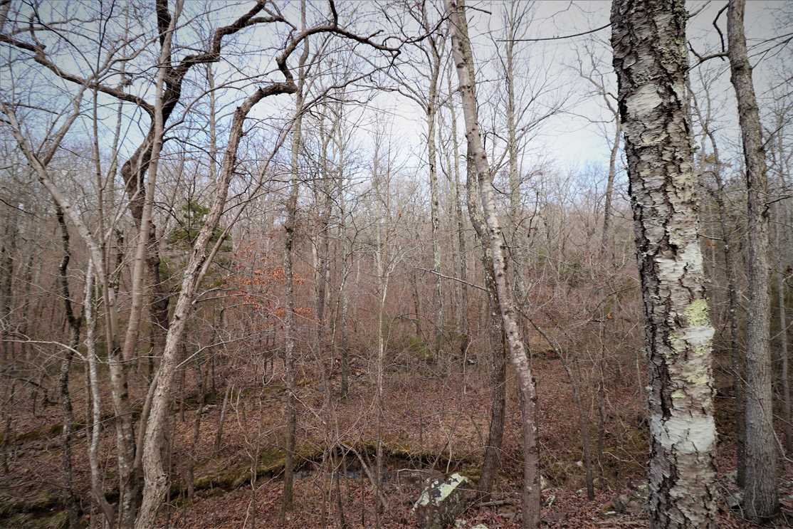 43 Acres of Land for sale in pulaski County, Arkansas