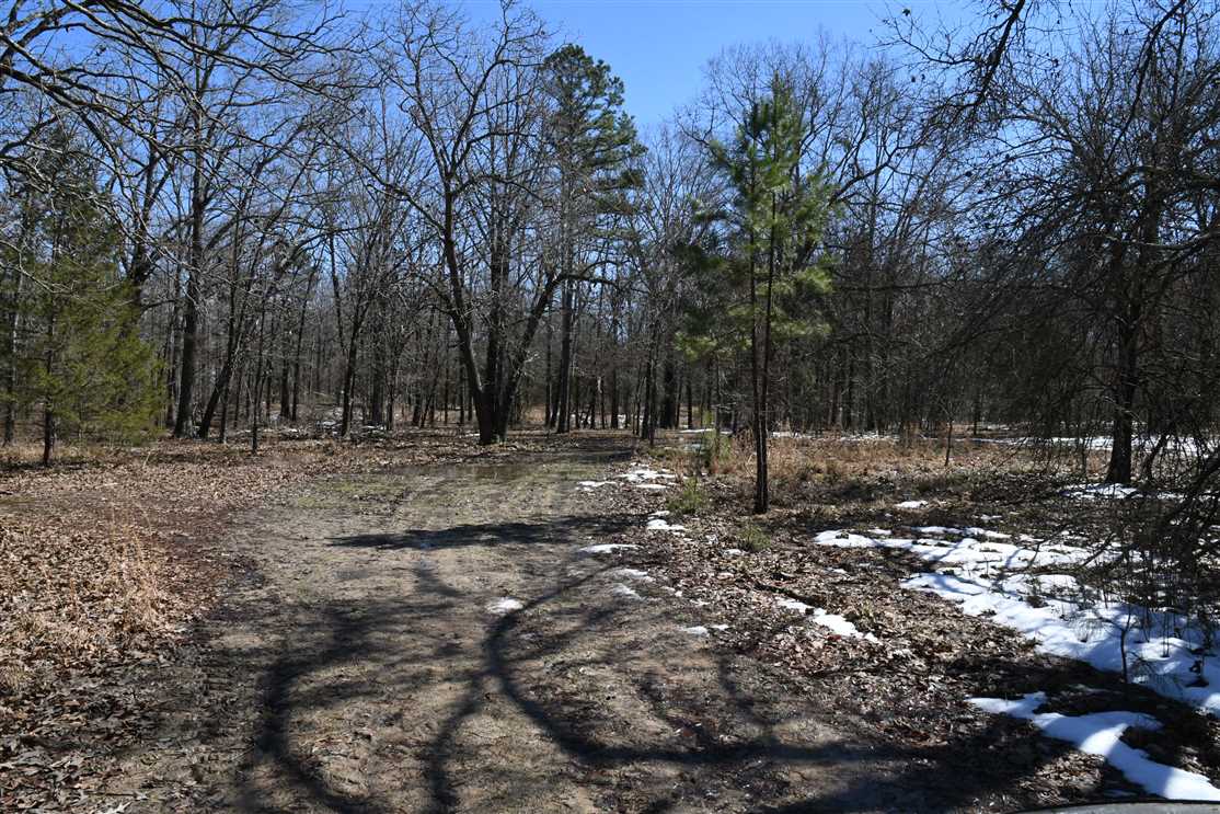 Timberland real estate available to buy