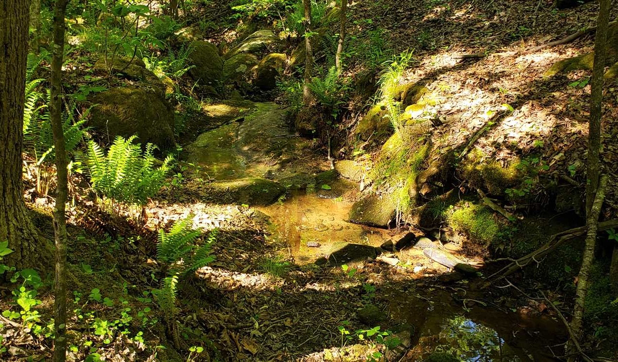 89.5+/- acres in Clover, York County Real estate listing