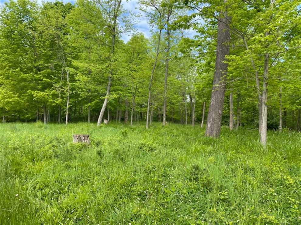 141 Acres of Land for Sale in ohio County, Indiana