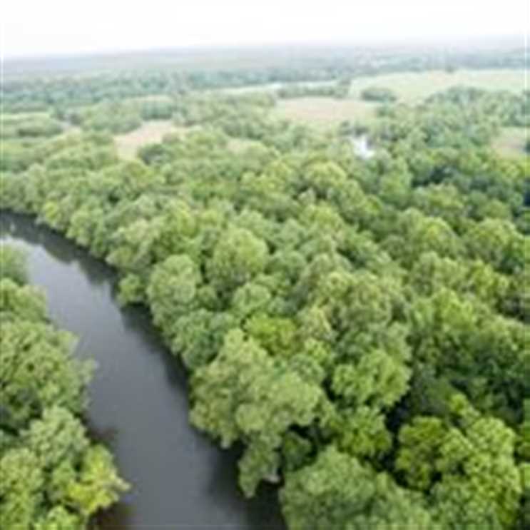 30 Acres of Land for sale in mccurtain County, Oklahoma