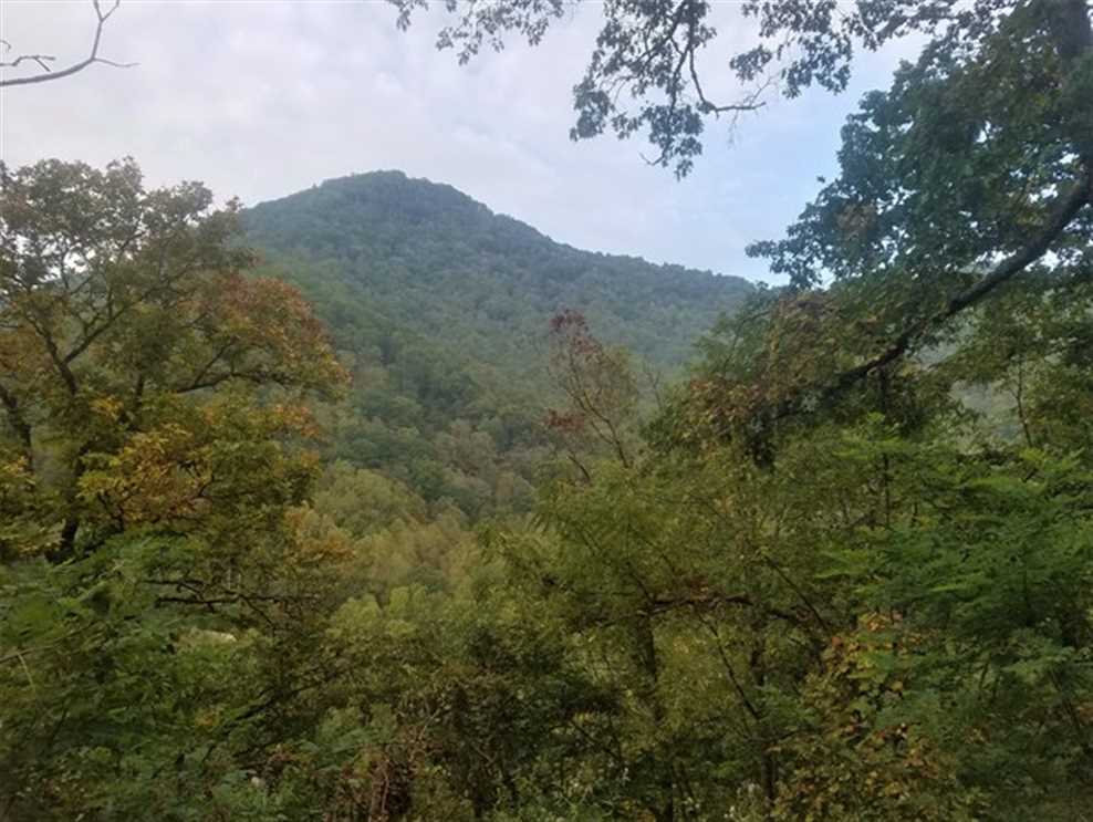 Recreational real estate available to buy