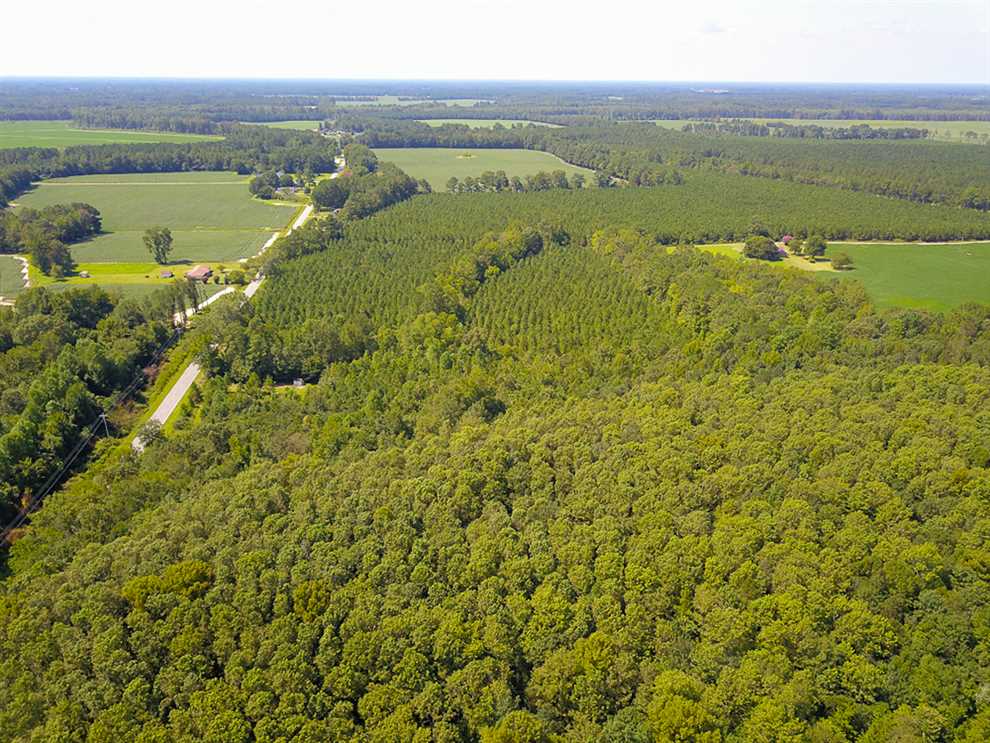 72 Acres of Land for sale in bertie County, North Carolina
