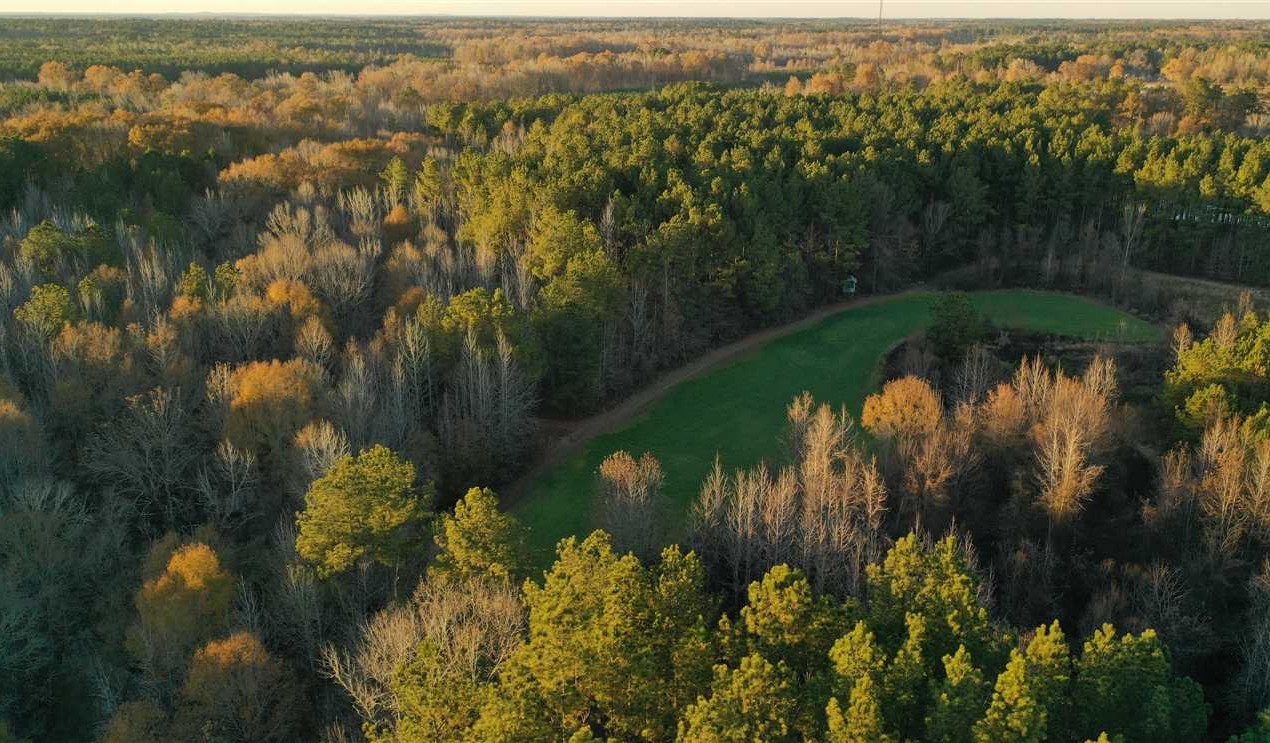 40 Acres of Land for Sale in oktibbeha County Mississippi