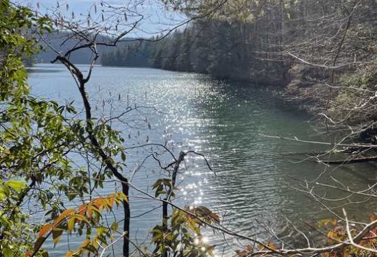 388 Acres of Land for Sale in cherokee County North Carolina