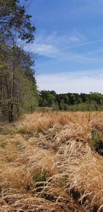 Land for sale to buy in 71429 zip code