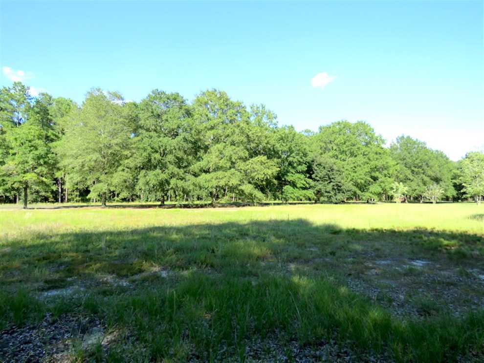 Land for sale to buy in 28364 zip code