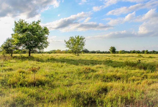 290 Acres of Land for Sale in pontotoc County Oklahoma