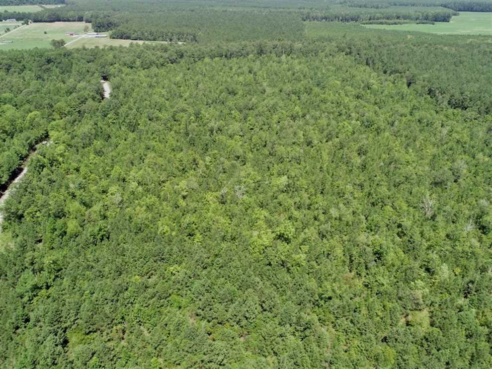 11.66 Acres of Residential land for sale in Gatesville, gates County, North Carolina