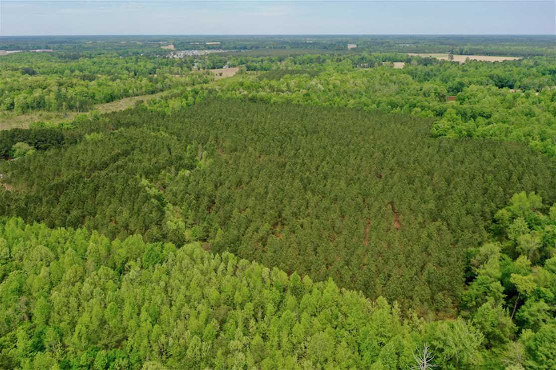 Timberland real estate available to buy