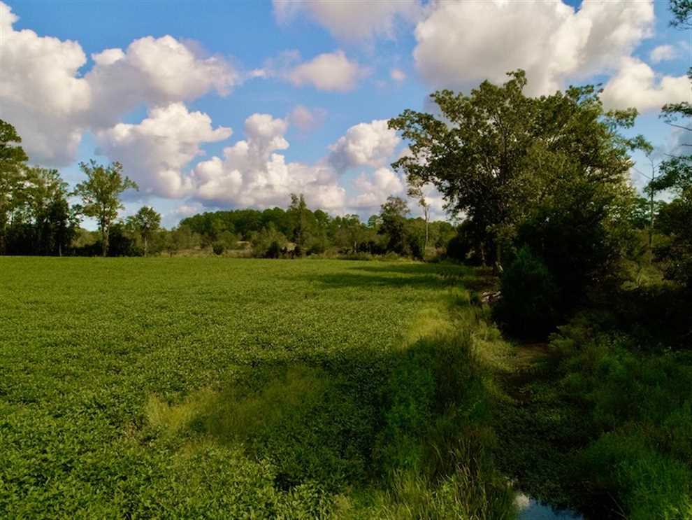 property for sale on The Land Market