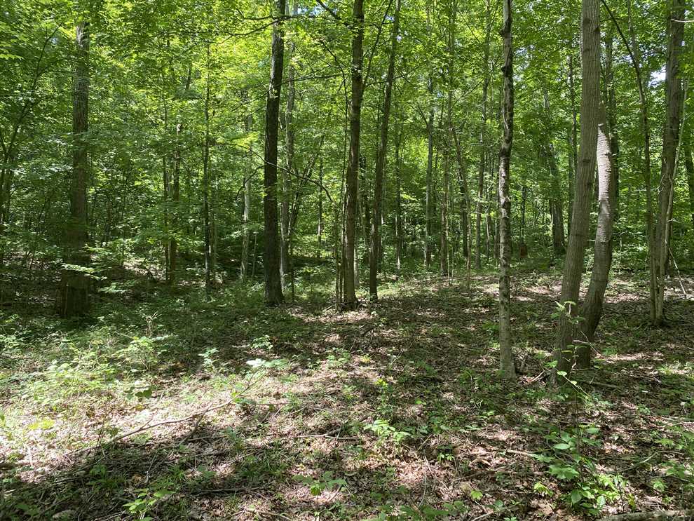 11.5 Acres of Timberland land for sale in West Baden Springs, orange County, Indiana