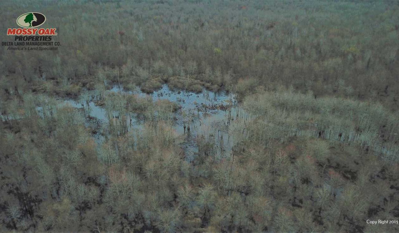 Benton land available for purchase