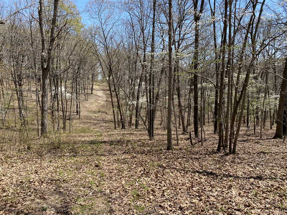 property for sale on The Land Market