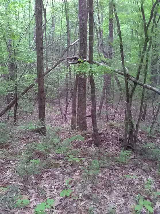 24 Acres of Residential land for sale in Hayesville, clay County, North Carolina