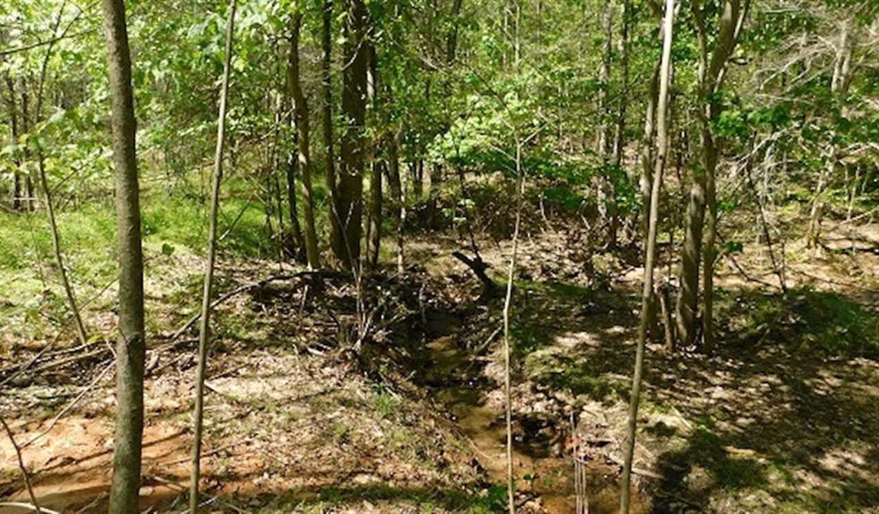 Recreational and   property for sale on The Land Market