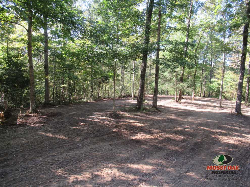 Property for sale at Charter Creek Subtle Road