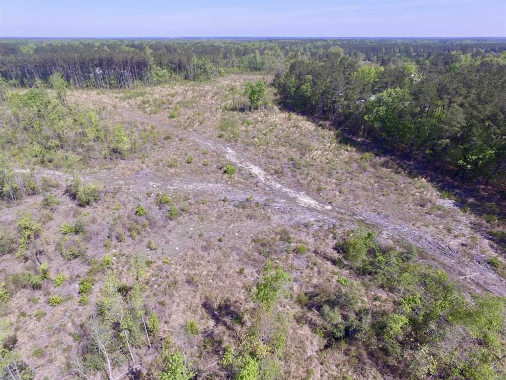 53.3 Acres of Land for sale in brunswick County, Virginia