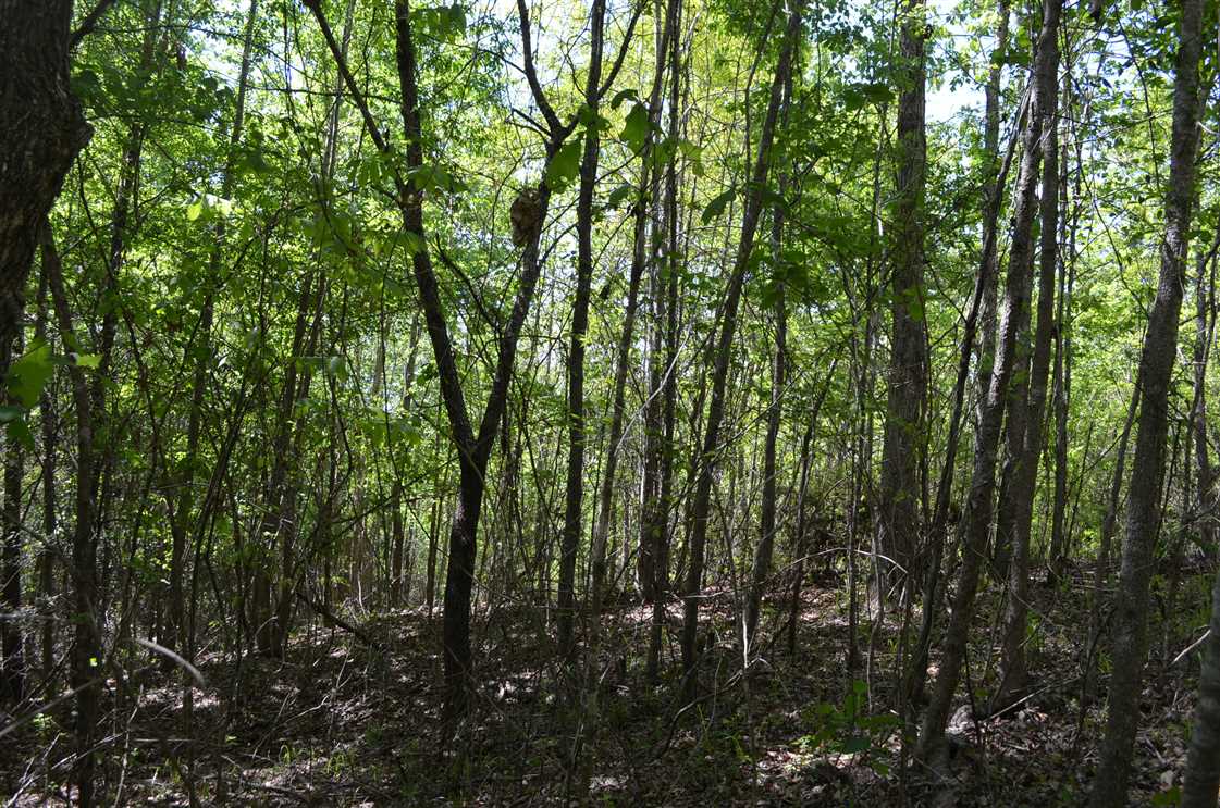 365 Acres of Land for sale in autauga County, Alabama