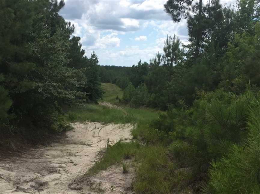 Houses and land for sale in Louisiana