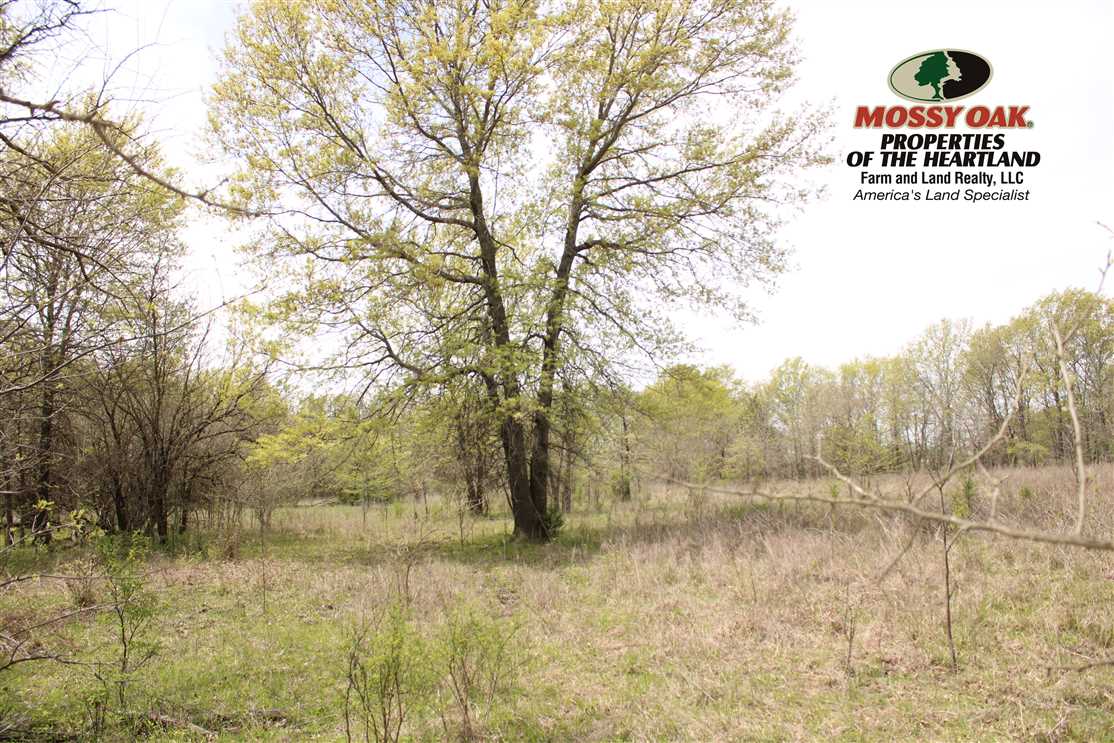 Land for sale at 0 Rt 1