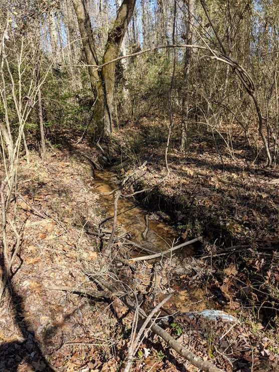 35 Acres Itawamba Co Real estate listing