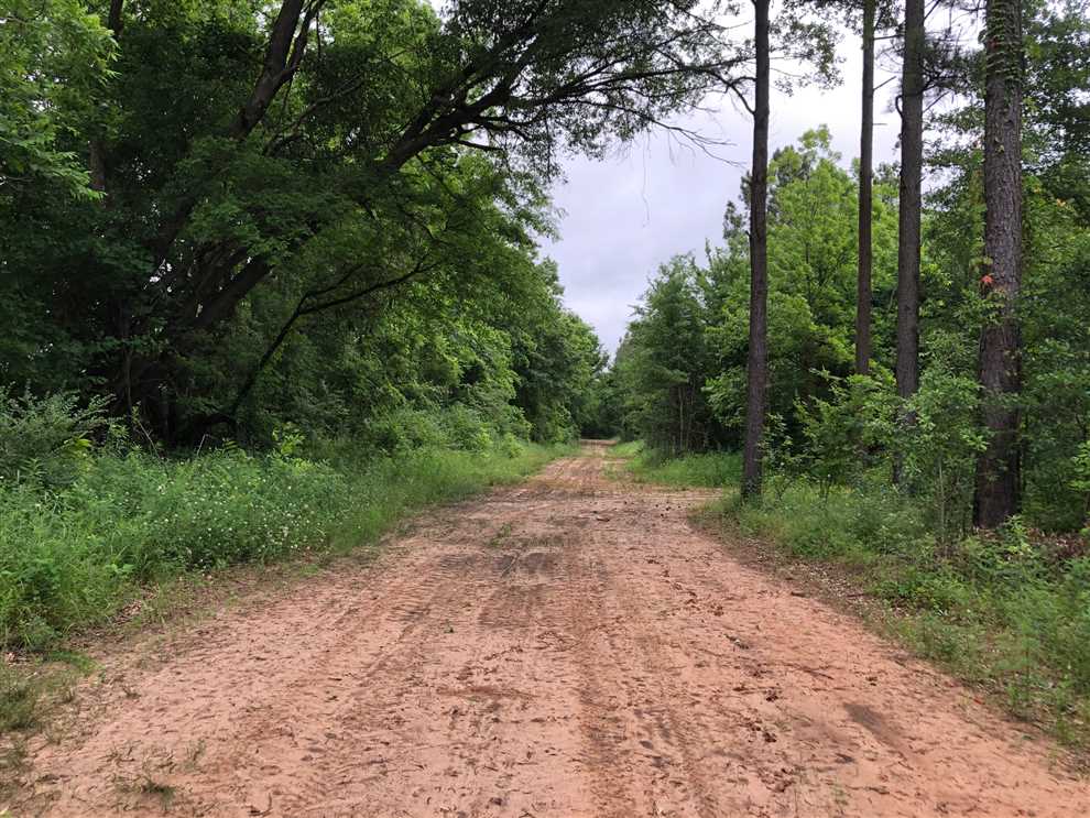 39.5 Acres of Residential land for sale in Scott, pulaski County, Arkansas