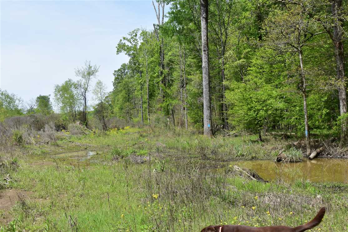 Terre Rouge D Real estate listing
