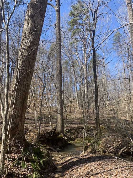 guilford County, North Carolina property for sale