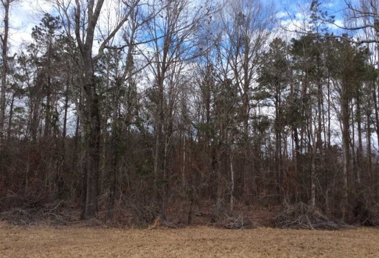 80 Acres of Land for Sale in caldwell County Louisiana