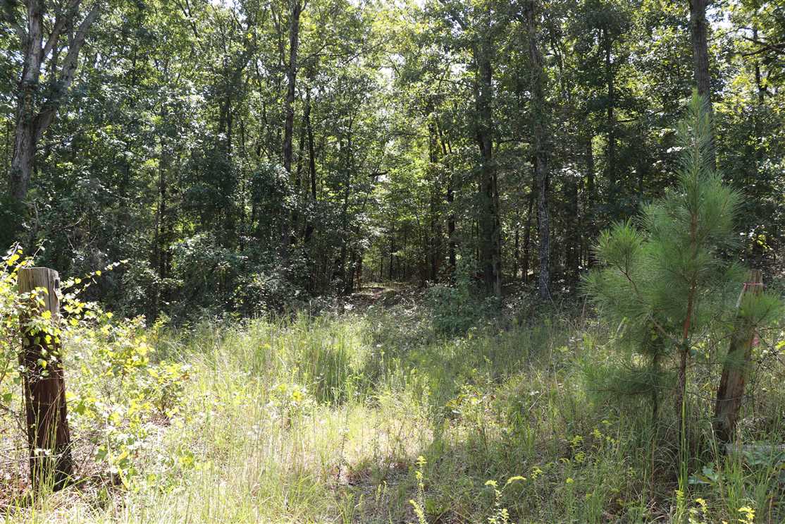 40 Acres of Land for sale in white County, Arkansas