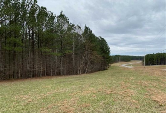 6.1 Acres of Land for Sale in marion County Tennessee