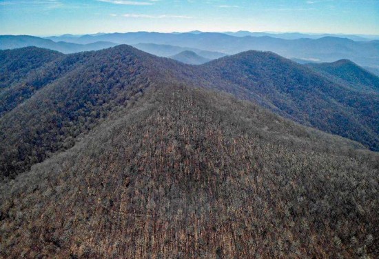 191.63 Acres of Land for Sale in buncombe County North Carolina
