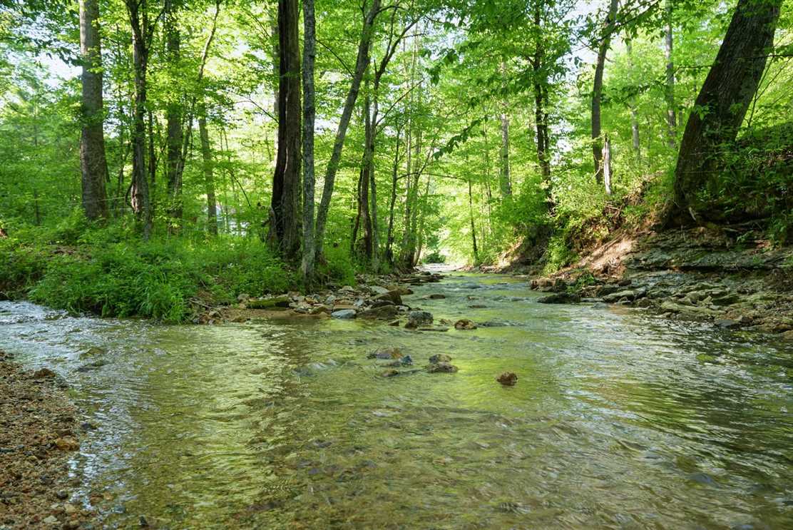 16 Acres of Residential land for sale in Bon Aqua, hickman County, Tennessee