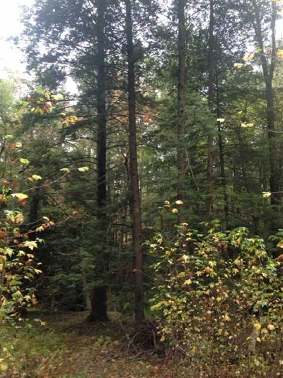 Land for sale to buy in 37374 zip code