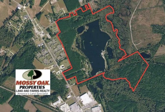 194 Acres of Land for Sale in robeson County North Carolina