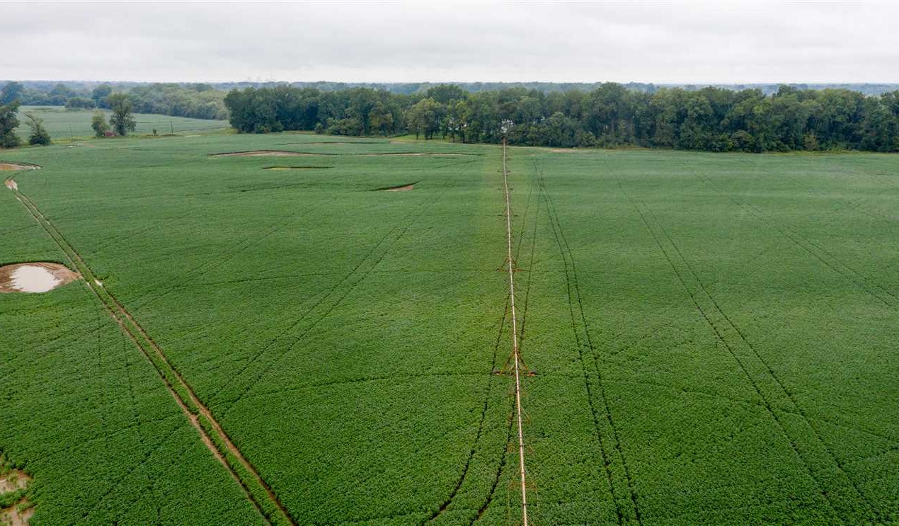 420 Acres of Land for Sale in jackson County Arkansas