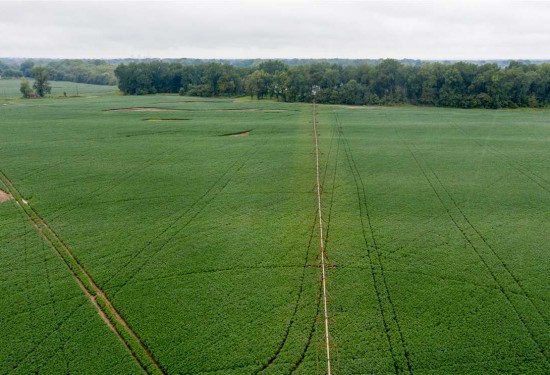 420 Acres of Land for Sale in jackson County Arkansas
