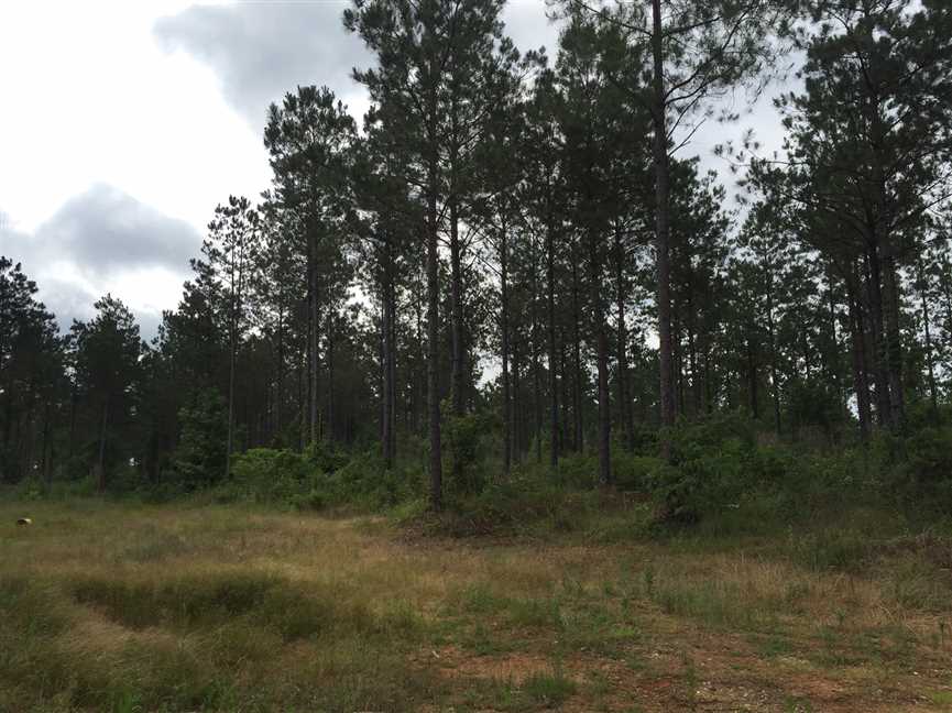 Property for sale at