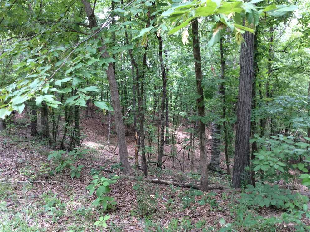 334 Acres of Land for sale in catahoula County, Louisiana