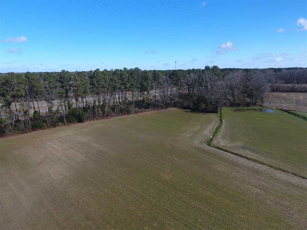 23.12 Acres of Farm and Residential Land for Sale in Columbus County NC! Real estate listing