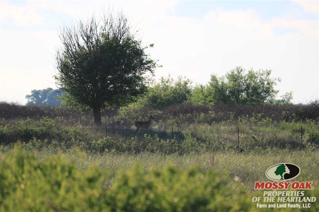 Land for sale at 20000 NW 36th St