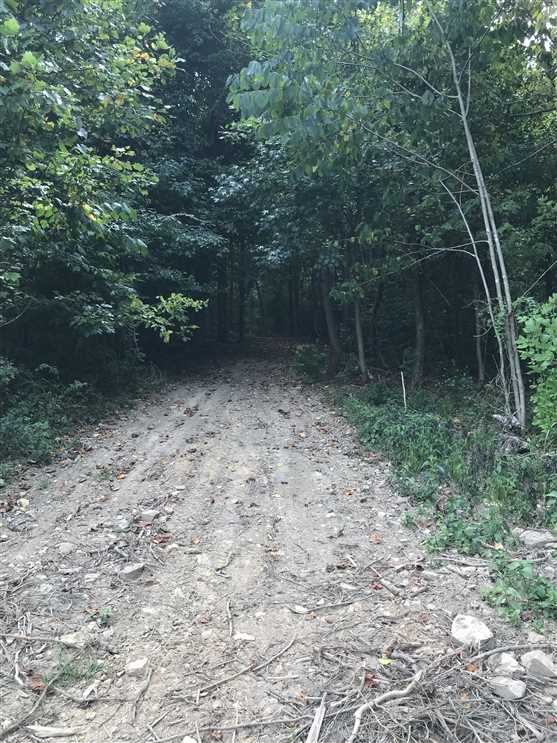 10.28 Acre wooded tract ready to build your dream home on, 3 minutes from Kentucky Lake! Real estate listing